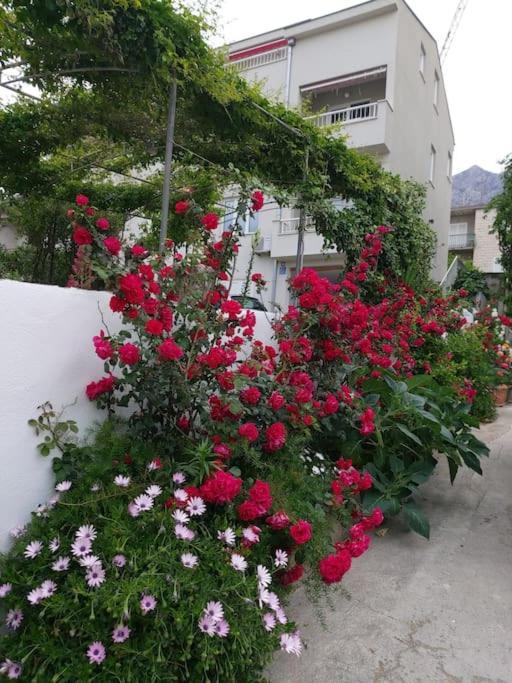 Jacky Apartment / Sea View Makarska Exterior photo